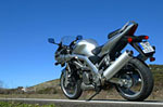 Suzuki SV1000S
